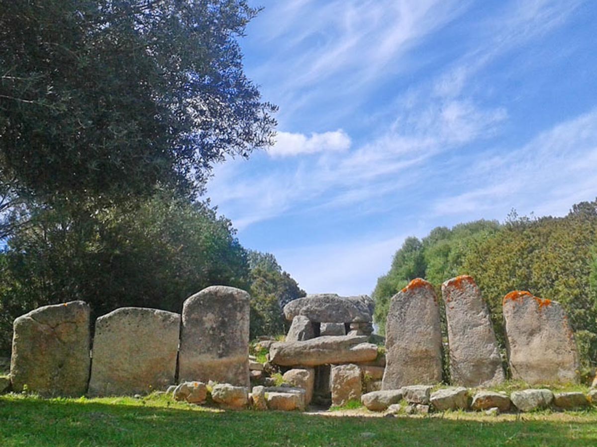 Olbia Archeologica